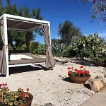 Dina Villa *