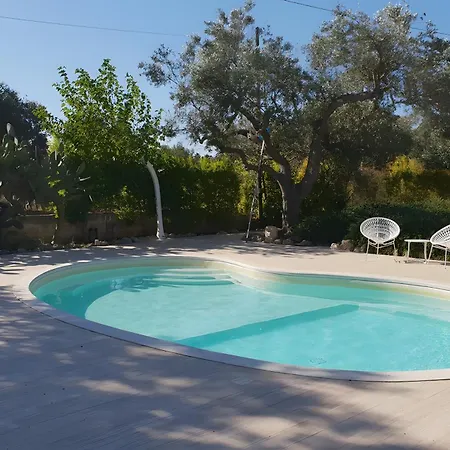 Dina Nardo